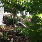 Maria's בית נופש קאקובטוס